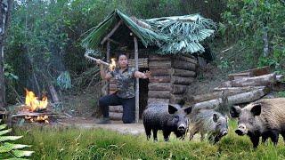 Build a natural Bushcraft shelter and near a wild boar lair, in the Wilderness, Landscape, Bushcraft