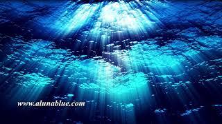 Water FX0324 HD, 4K Underwater Stock Footage