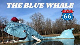 What You Didn't Know About The Blue Whale!