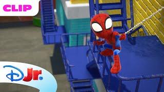 Marvel's Spidey and his Amazing Friends | Zola Shrinks!| @disneyjr