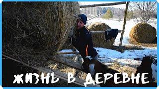 Вот такая жизнь в деревне. Наши деревенские будни