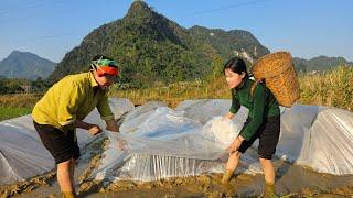 Huong and her future mother-in-law went to sow new rice lý thị hương