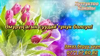 Куттуктоо Видеолорду кабыл алабыз!Озвучка менен Ватсап 0771 57 60 82