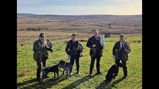 Falconry Field Meet - Goshawks