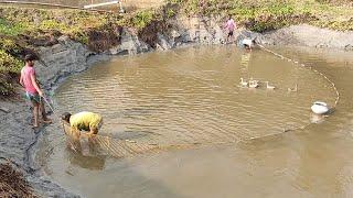 Beautiful Net Fishing in Bangladesh ll Natural Fish Catching Using By Net in The Village Pond