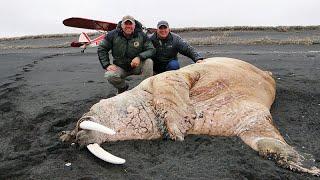 Bering Sea Beachcomb