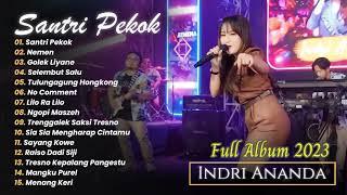 Santri Pekok - Indri Ananda - Tobat kapok lombok kadang lurus kadang menggok | FULL ALBUM 2023