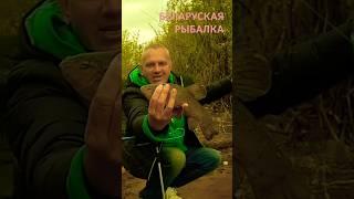 #fishing #nature #fish #fisherman #fishingvideo #fishinglife #fishingtips #riverfishing #river #линь