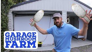 How to start a Mushroom Farm in your Garage