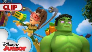 Ock Hits Hulk with the Obey Ray | Marvel's Spidey and his Amazing Friends | @disneyjr