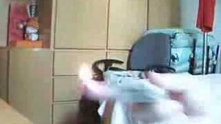 ZIPPO TRICK - Graft One Twig On Another - Flesh Torch
