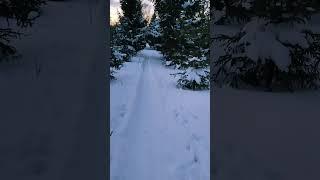 Казань, лыжня напротив Деревни Универсиады! #kazan #лыжи #shorts