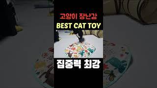 [BEST CAT TOY] 집중력 최강 고양이 장난감 / 고양이 집사님들 주목