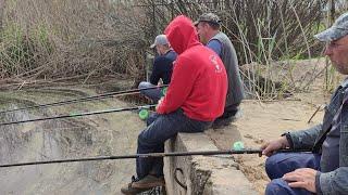 !!!РОЗРИВ!!! В БОЛОТО ЗБИВСЯ ВЕСЬ САЗАН, Вони пруть як танки, Вудки тріщать