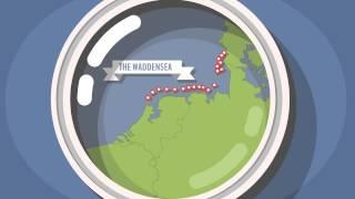 Waddensea.com animation