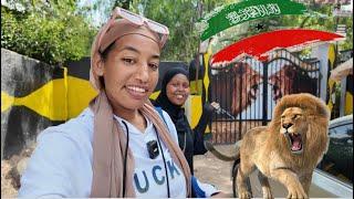 Lion Garden In Somaliland