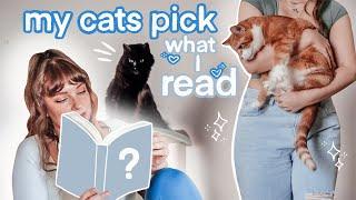 letting my cats pick my reads for a week  *meow*