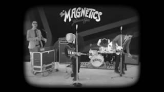 THE MAGNETICS - Money Money (Official Music Video)