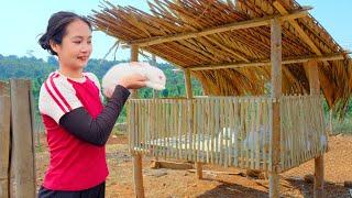 Full Video: Buy Rabbit, Building a Rabbit Cage - Harvesting, Daily Life, Farm, Cooking | Tieu Lien