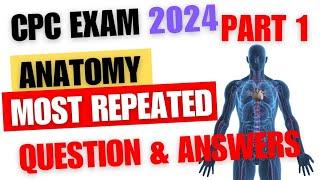 Anatomy CPC Exam Prep: Most Repeated Questions & Answers (Part 1)