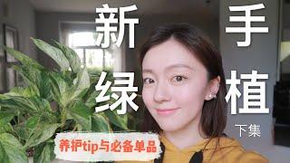 [EP02]室内绿植养护入门指南+必备单品推荐 | Beginner's Houseplant Care Tips And Essential Tools