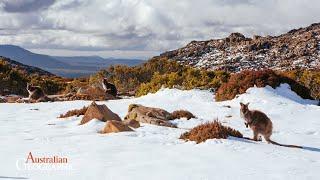 Snow Slowdown: 60 Seconds of Science by Australian Geographic - Extended Edition