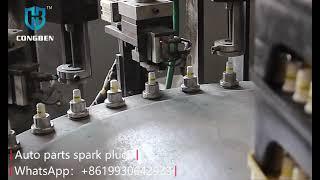 Automobile ignition system Spark plug from China factory supply(whatsapp:+8619930642939)