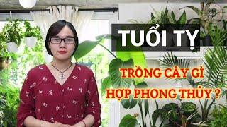 Người Tuổi Tỵ Trồng Cây Gì Hợp Phong Thủy | Trang Tâm Linh