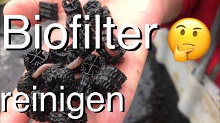 Die jährliche Reinigung des Biofilters / Wie sieht die Hel-X nach 14 Monaten aus?