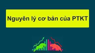 Forex | Các nguyên lý cơ bản của phân tích kỹ thuật