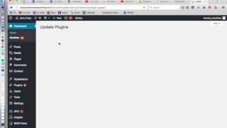 How to UPdate WordPress Plugins