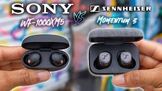 Sony WF-1000XM5 VS Sennheiser Momentum TWS 3 - The KING Dethroned??