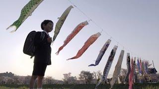 Children's Day Festival - Japan: Earth's Enchanted Islands: Web Exclusive - BBC Two