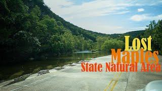 Lost Maples State Natural Area 2020