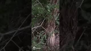 Как исцелиться зная психосоматику️см.описание к видео #исцеление #невозможноевозможно #чудеса