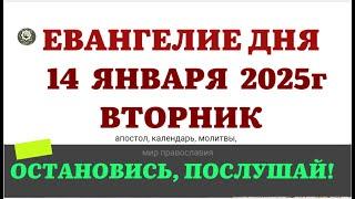 14 ЯНВАРЯ ВТОРНИК ЕВАНГЕЛИЕ АПОСТОЛ КАЛЕНДАРЬ ДНЯ  2025 #евангелие