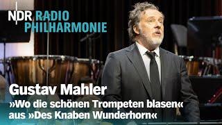 Mahler: "Wo die schönen Trompeten blasen" | Stanislav Kochanovsky | NDR Radiophilharmonie