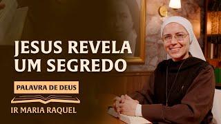 Palavra de Deus | Jesus revela um segredo (Mc 6,30-34) Ir. Ma Raquel 21/07