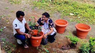 पालक वडी बनवली डब्याला//दादा चा कुठ्ठा पडला आज//लावली झाडे🪴आवडीचा दोडका भात #house #home #dailyvlog