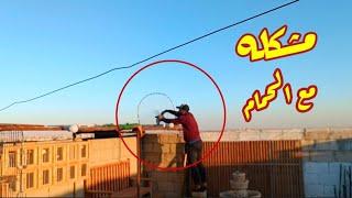 كنت رح اوقع في مشكله كبيره  لو اني ما مسكت هذا الطير 