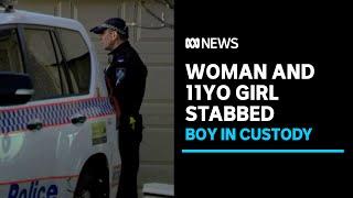 Teen in custody after woman and 11yo girl stabbed at Ipswich home | ABC News