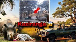 Kaziranga National Park Viral Video  || Kaziranga jeep safari viral video || Kaziranga News