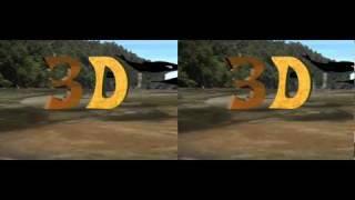 3D Whales yt3d:enable=true yt3d