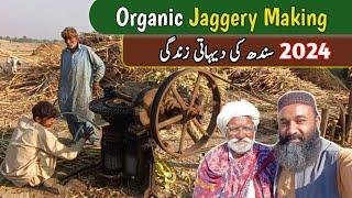 Gur Making In Pakistan | Organic  Jaggery | Village Life In Pakistan | Jaggery Making