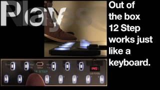 12 Step MIDI Bass Keyboard Pedal