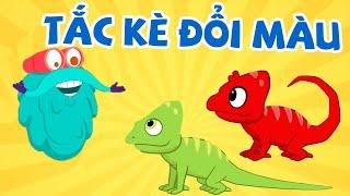 Sự thật về SIÊU NĂNG LỰC BÁ ĐẠO của Tắc Kè | Vương Quốc Kiến Thức Của Binocs