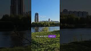 Здравый смысл?