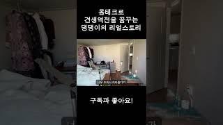 청량리에서 견생역전을 꿈꾸는 재개발 몸테크 강아지 #2  shorts