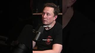 How Elon Musk Will Cure Blindness