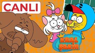 Kral Şakir Canlı Yayın 7/24 Full HD İzle  #canlıyayın #animation